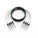 Áudio blindado de 4 canais Snake Cable PRORECK 7,6 m 1/4" TRS Áudio blindado de 4 canais Snake Cable PRORECK 7,6 m 1/4" TRS