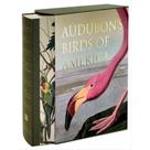 Audubon s Birds Of America Audubon s Birds Of America