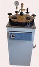 Autoclave Vertical Analogica a CS - Sem Pedal 30 Litros - Prismatec