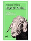 Avaliação clínica na espécie ovina