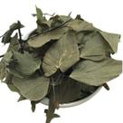 Avenca 100Gr (Erva Desidratada)