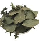 Avenca 1kg (Erva Desidratada)