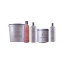Avlon Relaxamento Alisamento 4 Steps Positive Link 5in1 Reconstrutor 475ml Refil Guanidina Normalizing 475ml