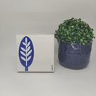 Azulejo Personalizado Elizabeth Titon 15x 15 cm -Folha Azul