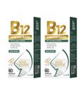 B12 Concentrado Metilcobalamina Airela 60 Comprimidos - Kit 2 Un