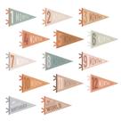 Baby Milestone Pennant Signs VitalCozy Monthly 14 unidades