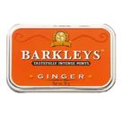 Bala Barkleys Ginger Tastefully Intense Mints 50g