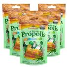 Bala com Própolis Mel Eucalipto e Mentol Kit com 5 - Prodapys