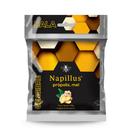 Bala de Gengibre com Mel e Própolis Napillus - 38 Gramas