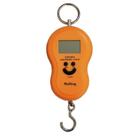 Balança De Gancho Digital Até 50 Kg Visor Iluminado Bm-A60 Balança De Gancho Digital Até 50 Kg Visor Iluminado Bm-A60
