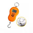 Balança de Gancho Digital Para Feiras Bagagem Pesca até 50 Kg Visor Iluminado - BM-A60 - B-Max Balança de Gancho Digital Para Feiras Bagagem Pesca até 50 Kg Visor Iluminado - BM-A60 - B-Max