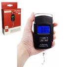 Balança Portátil Digital 50kg Para Mala Viagem Bagagem