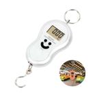 Balança Suspensa Portátil Digital De Mão 50 KG Pesca Bolsa Balança Suspensa Portátil Digital De Mão 50 KG Pesca Bolsa