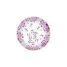 Balão Bubble Transparente com Confete Estrela Pink - 11" 26cm - 1 unidade - Partiufesta - Rizzo Balão Bubble Transparente com Confete Estrela Pink - 11" 26cm - 1 unidade - Partiufesta - Rizzo