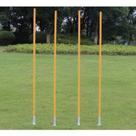 Baliza Slalom Estaca Reclinável De Mola Com Ponteira DareEsportes - Ref PC-BZ001 - Unidade Tam 1,60 m x 2,5cm Diâmetro