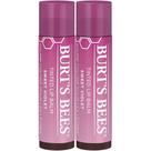 Bálsamo labial Burt's Bees Sweet Violet com manteiga de karité, pacote com 2 unidades
