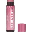 Bálsamo labial Burt's Bees Tinted Hibiscus 100% natural 1 tubo