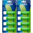 Bálsamo labial com vaselina Lip Therapy Aloe Fresh, pacote com 8 ml Bálsamo labial com vaselina Lip Therapy Aloe Fresh, pacote com 8 ml