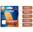 Bálsamo labial, vaselina, terapia labial, manteiga de cacau, pacote com 6 Bálsamo labial, vaselina, terapia labial, manteiga de cacau, pacote com 6