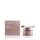 Bálsamo para contorno de olhos Jurlique Nutri-Define Supreme 15mL