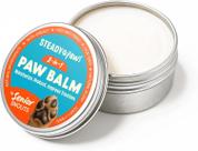 Bálsamo para Patas de Cachorro Steady Paws 50 ml Hidratante e Protetor