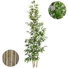 Bambu Artificial 2 Metros Grande Mosso Sem Vaso Decoração