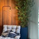 BAMBU ARTIFICIAL 5 HASTE 1mt altura