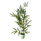 Bambu Artificial Tronco Natura + Vaos suporte Pequeno