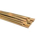 Bambu Cavo Tratado Para Artesanato: 1mt x 3.5cm - 12un
