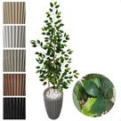 Bambu Da Sorte 150cm Planta Artificial Com Vaso Decorativo Bambu Da Sorte 150cm Planta Artificial Com Vaso Decorativo