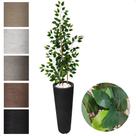 Bambu Da Sorte 150cm Planta Artificial Com Vaso Decorativo Bambu Da Sorte 150cm Planta Artificial Com Vaso Decorativo