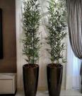 Bambu vertical artificial 4 hastes 1 mt