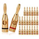 Banana Plugs Tuijodaix Open Screw, banhado a ouro 24K, pacote com 24