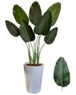 Bananeira Artificial Grande Completa + Vaso Liso Decoração Bananeira Artificial Grande Completa + Vaso Liso Decoração
