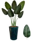 Bananeira Artificial Grande + Vaso Completo Decoração Casa Bananeira Artificial Grande + Vaso Completo Decoração Casa