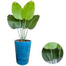 Bananeira Artificial Toque Real Vaso Marmorizado Completo