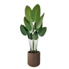 Bananeira Artificial Vaso Bojo Completo Toque Real Decoração