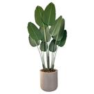 Bananeira Artificial Vaso Bojo Completo Toque Real Decoração