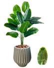 Bananeira Buquê Planta Artificial Com Vaso Polietileno Bananeira Buquê Planta Artificial Com Vaso Polietileno