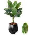 Bananeira Buquê Planta Artificial Com Vaso Polietileno Bananeira Buquê Planta Artificial Com Vaso Polietileno