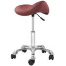Banco de selim Saloniture Professional Ergonomic Burgundy
