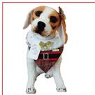 Bandana pet cachorro fim de ano festas natal luxo glamour