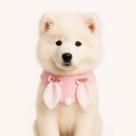 Bandana Pet de Páscoa Rosa Cachorros Pelúcia Coelinha TAM PP