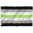 Bandeira Anley Agender Pride 90x150cm em cores vivas ao ar livre