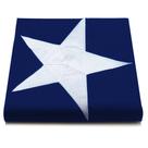 Bandeira Anley EverStrong Series Texas State 90x150cm Nylon