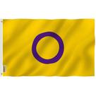 Bandeira Anley Fly Breeze Intersex Pride 90x150cm com ilhós