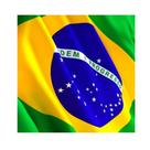 Bandeira Brasil 3,00x2,00m Oficial Envio Imediato!!