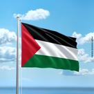 Bandeira da Palestina 80cmx140cm Tecido Oxford 100% Poliéster