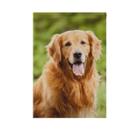 Bandeira de jardim Hokkien Smiling Golden Retriever Dog de dupla face Bandeira de jardim Hokkien Smiling Golden Retriever Dog de dupla face
