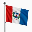 Bandeira do Alagoas Oficial em Tecido Reforçado 90x128cm